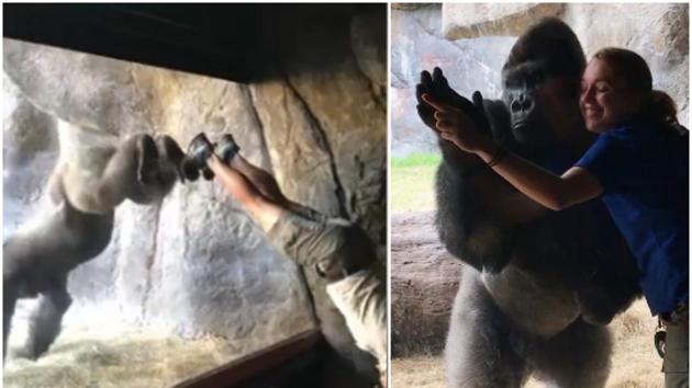 He’s got the moves (Busch Gardens Tampa Bay/Facebook)