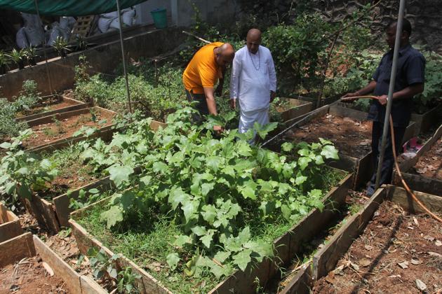The Ashram has 32 vermicomposting pits, which generate the fertiliser required for the organic garden.(HT photo)