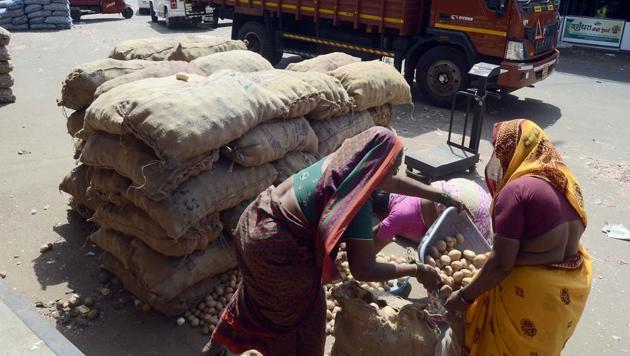 The price of ladies’ finger, cluster beans, chilli, cucumber, brinjal and raw mango witnessed a drop on Sunday due to an increase in the supply of these commodities. (HT File Photo) The price of ladies’ finger, cluster beans, chilli, cucumber, brinjal and raw mango witnessed a drop on Sunday due to an increase in the supply of these commodities. (HT File Photo)