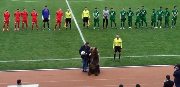 A grizzly bear was seen clapping its claws as it tried to warm up the crowd before the start of a Russian football league game.(Twitter/markgbullen)