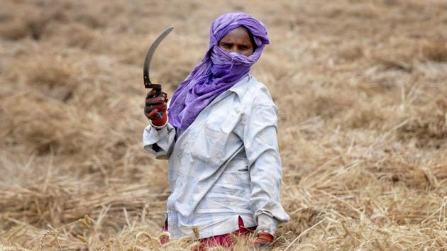 Rajasthan is giving the maximum amount of accident insurance to farmers, said cooperative minister Ajay Singh Kilak.(HT Photo/Representative image) Rajasthan is giving the maximum amount of accident insurance to farmers, said cooperative minister Ajay Singh Kilak.(HT Photo/Representative image)