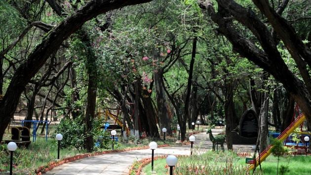 The renovated Nagar Van, aka City Forest, is ready for inauguration this month. Spread over 100 hectares, it is located in and around the Sukhna reserve forest in Chandigarh.(Ravi Kumar/HT) The renovated Nagar Van, aka City Forest, is ready for inauguration this month. Spread over 100 hectares, it is located in and around the Sukhna reserve forest in Chandigarh.(Ravi Kumar/HT)