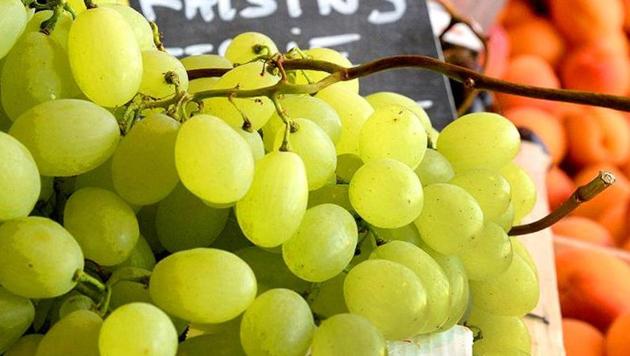 Unseasonal hailstorm and rainfall in September badly affected the area of around 60,000 hectares under cultivation in Nashik. (HT PHOTO) Unseasonal hailstorm and rainfall in September badly affected the area of around 60,000 hectares under cultivation in Nashik. (HT PHOTO)