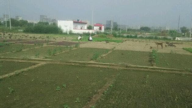 A landowner alleged illegal construction on his land in village Haibatpur of Greater Noida.(HT Photo)