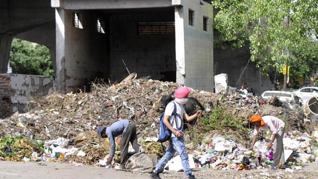Garbage has been piling up in the city, as seen in Sector 28 (above). The authority also has plans to develop a waste-to-energy plant at the Sector 123 landfill site. (Sunil Ghosh/HT Photo) Garbage has been piling up in the city, as seen in Sector 28 (above). The authority also has plans to develop a waste-to-energy plant at the Sector 123 landfill site. (Sunil Ghosh/HT Photo)