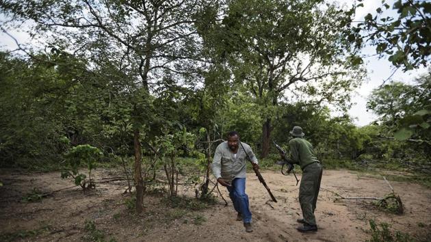 Wildlife veterinarian Ernest Mjingo (C), runs as an elephant charges after being darted. It’s far too early to declare a turnaround. Poachers are moving to new areas and traffickers are adapting, aided by entrenched corruption. The rate of annual elephant losses still exceeds the birth rate. And the encroachment of human settlements is reducing the animals’ range. (Ben Curtis / AP) Wildlife veterinarian Ernest Mjingo (C), runs as an elephant charges after being darted. It’s far too early to declare a turnaround. Poachers are moving to new areas and traffickers are adapting, aided by entrenched corruption. The rate of annual elephant losses still exceeds the birth rate. And the encroachment of human settlements is reducing the animals’ range. (Ben Curtis / AP)