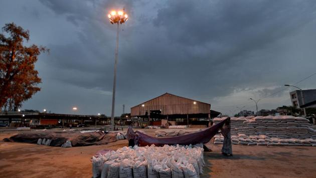 Labourers covering wheat bags with plastic sheet as it was about to rain, at New Grain Market in Jalandhar. (Pardeep Pandit/HT )