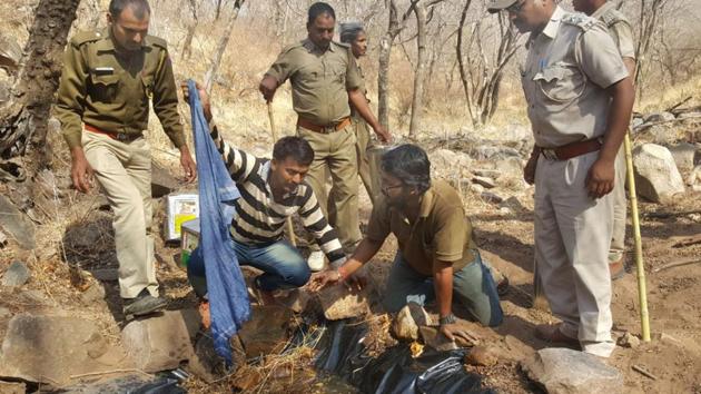 Forest officials make a temporary water body for intensive camera trapping in Sariska Tiger Reserve, Alwar. The water body was made to trace the missing tigress ST 5.(HT Photo)