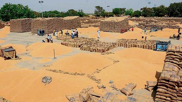 Wheat lying in the open at a grain market in Mehmadpur village of Patiala on Friday. (Bharat Bhushan/HT) Wheat lying in the open at a grain market in Mehmadpur village of Patiala on Friday. (Bharat Bhushan/HT)