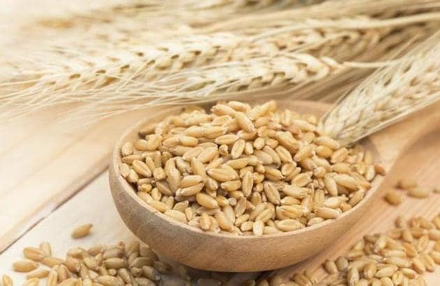 “The sate government is distributing wheat at ₹2 / kg and rice at ₹3 / kg, but there have been reports of food items reaching the black market.” (Shutterstock) “The sate government is distributing wheat at ₹2 / kg and rice at ₹3 / kg, but there have been reports of food items reaching the black market.” (Shutterstock)