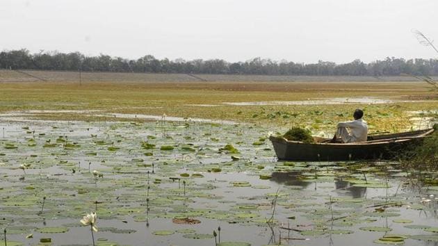 Sukhna Lake seems to relive her birth every monsoon, and thereby tells you that nothing is permanent. Not even your sadness.(HT Photo) Sukhna Lake seems to relive her birth every monsoon, and thereby tells you that nothing is permanent. Not even your sadness.(HT Photo)