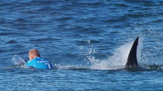 Dylan McWilliams, 20, was bodyboarding in the ocean off Kauai on Thursday, when what he believed to be a tiger shark between six and eight feet long chomped him on the leg.(Representative photo)