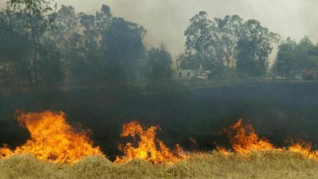 Farmers claim that in most cases, the cause of the fire is short-circuiting of overhead high-tension electricity wires that criss-cross their fields.(HT Photo)