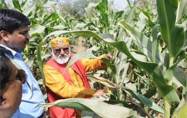 Prof Shailesh Marker (left) showing crop of SHIATS Makka-2 to SHUATS VC Prof Rajendra B Lal.(HT Photo)