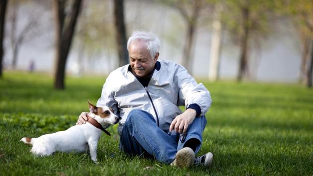 Take them for a walk in the evenings or go swimming with them.(Shutterstock) Take them for a walk in the evenings or go swimming with them.(Shutterstock)