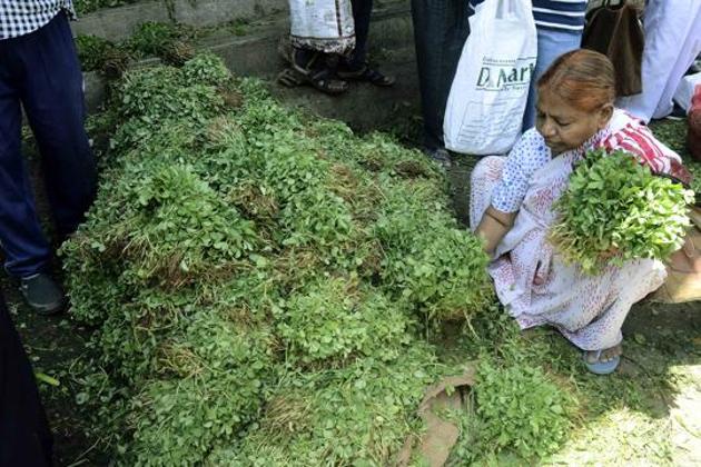 Summer takes a toll on green leafy vegetables.(RAVINDRA JOSHI/HT PHOTO)