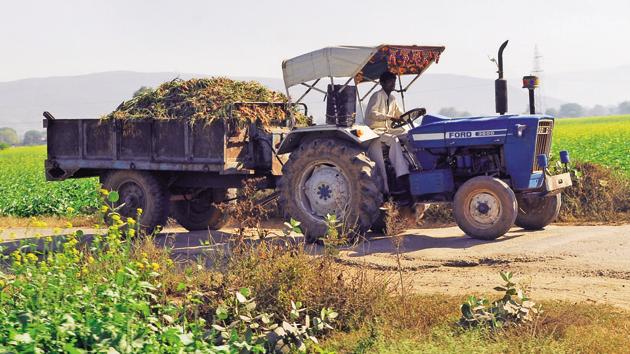 Degradation, desertification and drought erode the quality of land and adversely impact productivity, biodiversity and water availability.(File Photo)