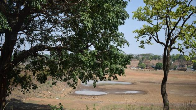 Remnants of the Gayatri River during summer.(Gayatri Jayaraman/HT Photo)
