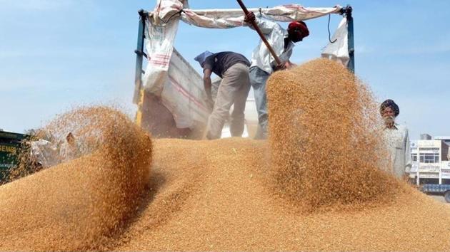 The decision has been taken to prevent any attempt by transporters to indulge in cartelisation in the ongoing rabi season. (HT File) The decision has been taken to prevent any attempt by transporters to indulge in cartelisation in the ongoing rabi season. (HT File)