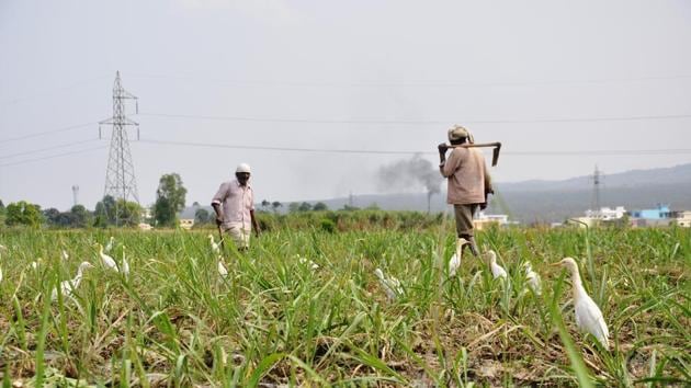 A PIL in HC had alleged that four farmers had committed suicide in Uttarakhand last year over various reasons.(HT File)