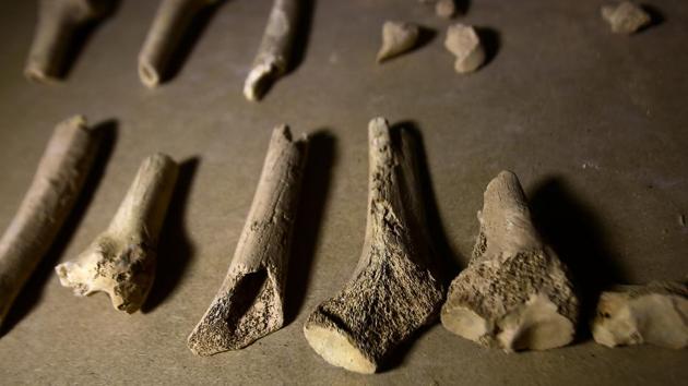 An excavation by the Archaeological Survey of India (ASI) near Meerut, Uttar Pradesh, has unearthed 13 bodies that roughly date back to 11th century AD. This has sparked interest among experts and led to calls for a deeper examination because people of the region –defined as the Rajput Period – were known to cremate the dead in that era. (Ashraf Shazly / AFP / Representative Photo)