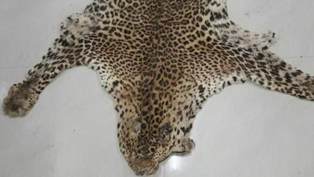 A seized leopard skin (Photo for representation).(HT File)