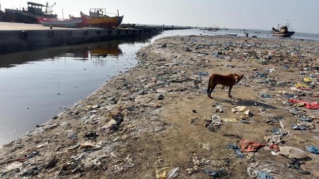 Domestic waste discharged by slums along creek areas along the northern end of Mumbai.(HT File Photo)