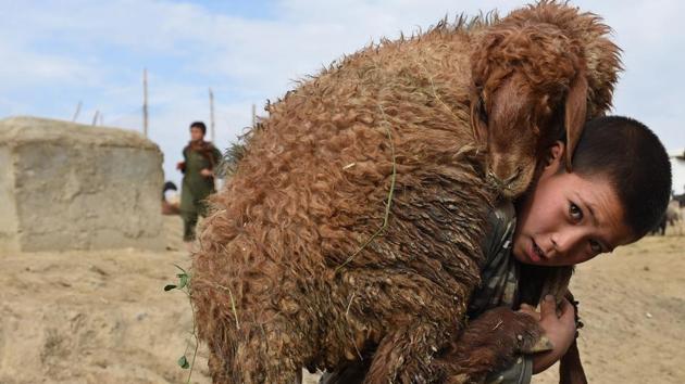 (An Afghan boy carries a sheep on his shoulders at a livestock market ahead of the sacrificial Eid al-Adha festival in Kabul on September 22, 2015. Tributes from colleagues described AFP photographer Shah Marai as a charismatic, courageous journalist who was dedicated to reporting on Afghanistan’s wrenching conflict. (Shah Marai / AFP File) (An Afghan boy carries a sheep on his shoulders at a livestock market ahead of the sacrificial Eid al-Adha festival in Kabul on September 22, 2015. Tributes from colleagues described AFP photographer Shah Marai as a charismatic, courageous journalist who was dedicated to reporting on Afghanistan’s wrenching conflict. (Shah Marai / AFP File)