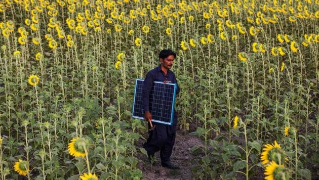An EcoEnergy technician carries a solar panel through a sunflower field in Sujawal, Sindh, Pakistan. Rural Pakistanis are increasingly turning to renewable energy to circumvent the country’s notoriously unreliable power supply. (Asim Hafeez / Bloomberg) An EcoEnergy technician carries a solar panel through a sunflower field in Sujawal, Sindh, Pakistan. Rural Pakistanis are increasingly turning to renewable energy to circumvent the country’s notoriously unreliable power supply. (Asim Hafeez / Bloomberg)