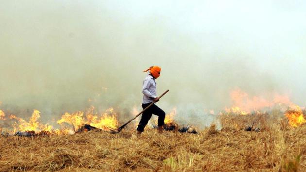 The Punjab government’s inaction is particularly glaring, as the NGT order mentions.(HT File)