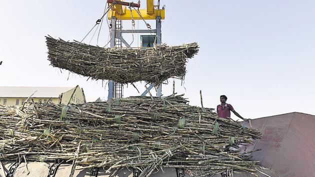 Sugar mills claim they are unable to pay farmers due to a slump in sugar prices in the domestic market.(HT File Photo)