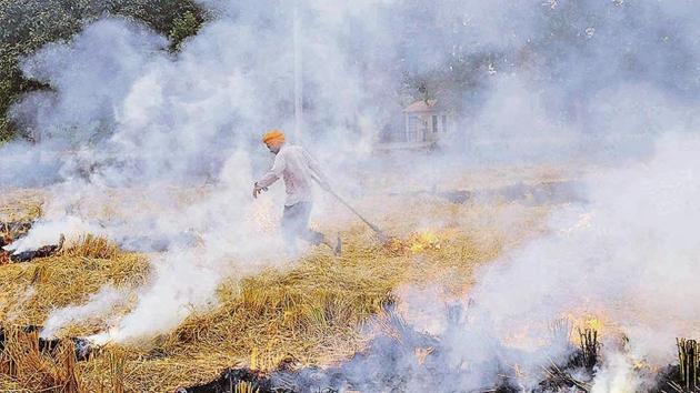 Officials of various state pollution control boards, however, claimed that this year, the number of crop burning incidents appear to be lesser.(HT/File Photo) Officials of various state pollution control boards, however, claimed that this year, the number of crop burning incidents appear to be lesser.(HT/File Photo)