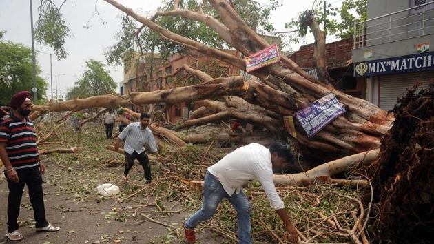 People clearing a road blocked by a fallen tree at Kheria Mod near Agra on April 3.(PTI Photo) People clearing a road blocked by a fallen tree at Kheria Mod near Agra on April 3.(PTI Photo)