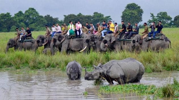 Tourists watch a one-horned rhino with her calf as they cool off, during an elephant safari in Kaziranga national park.(PTI File Photo)