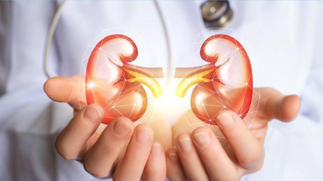 According to doctors, this was the fifth kidney transplant performed at the Sassoon General Hospital, and the second successful live kidney transplant.(HT REPRESENTATIONAL PHOTO) According to doctors, this was the fifth kidney transplant performed at the Sassoon General Hospital, and the second successful live kidney transplant.(HT REPRESENTATIONAL PHOTO)