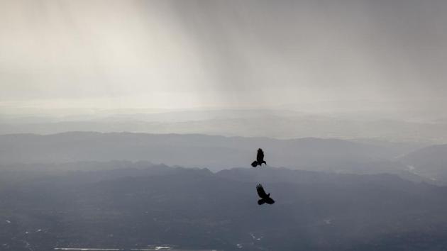 Crows fly as dark streaks of rain fall over Kangra Valley in Dharmsala, Himachal Pradesh on May 3, 2018. (Ashwini Bhatia / AP) Crows fly as dark streaks of rain fall over Kangra Valley in Dharmsala, Himachal Pradesh on May 3, 2018. (Ashwini Bhatia / AP)