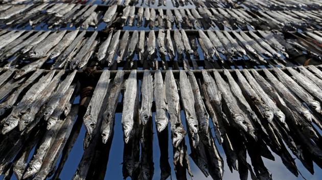 Fish are hung from bamboo poles for drying at a fishing village in Mumbai, Maharashtra on April 30, 2018. (Francis Mascarenhas / REUTERS) Fish are hung from bamboo poles for drying at a fishing village in Mumbai, Maharashtra on April 30, 2018. (Francis Mascarenhas / REUTERS)