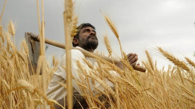 Fadnavis said nationalised and commercial banks are always casual in their approach while extending crop loans to farmers.(REPRESENTATIONAL PHOTO/HT FILE)