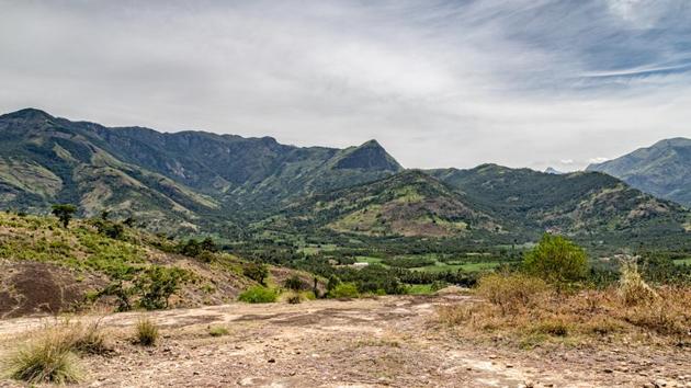 Researchers stressed the need to enforce strict laws to stop deforestation, but will also maintain the water cycle over semi-arid parts in southern states.(Representative image/Shutterstock)