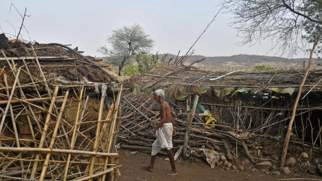 The guidelines of National Tiger Conservation Authority (NTCA), say that Rajasthan government had notified an area of 881.11 sq. km as CTH in December 2007 after news of tigers in Sariska being wiped out emerged in 2005. (Anindito Mukherjee / Bloomberg)