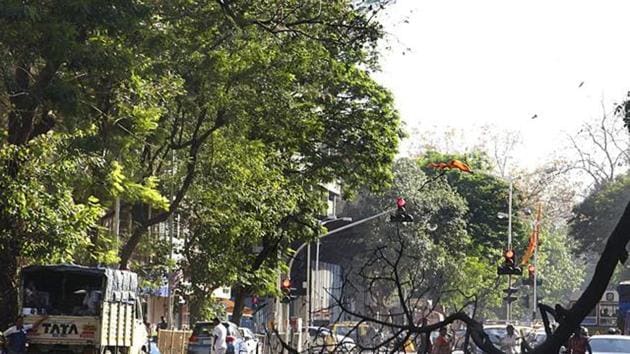 Four tree fall deaths were recorded in 2017 in Mumbai.(HT File)
