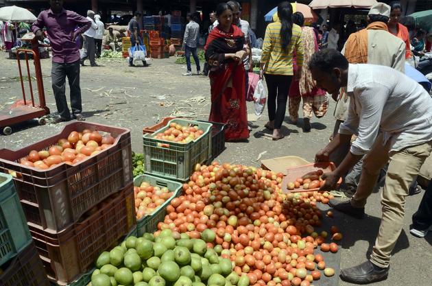 Increase in the supply of tomatoes has led to a fall in its price by 15 per cent.(Ravindra Joshi/HT PHOTO)