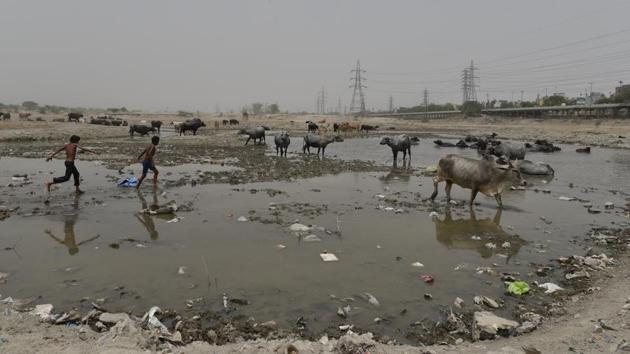 But the proposed landfills have triggered protest from activists and experts claiming that Delhi would be committing its ‘gravest mistakes’ if it allows dumping grounds to come up on the floodplains. On the other hand EDMC officials claim that these won’t be traditional dumping sites which could destroy the floodplain. (Anushree Fadnavis / HT Photo)