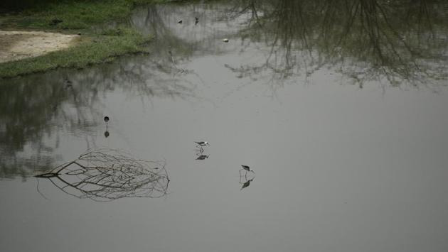 Experts point out that Solid Waste Management Rules, 2016 state that landfill sites shall not be permitted within the floodplains (with a criticality of floods measured for a 100 years), wetland, critical habitat areas, and sensitive eco-fragile areas. However, EDMC official said that the so called ‘floodplain’ which has developed into pushta (embankment), is already home to thousands of households. (Anushree Fadnavis / HT Photo)