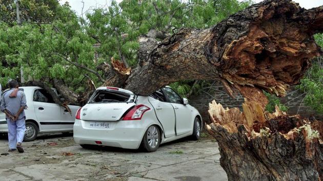 Damaged cars after a tree fell on them during a storm in Patiala.(PTI Photo) Damaged cars after a tree fell on them during a storm in Patiala.(PTI Photo)