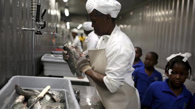 A Taino Aqua Fish worker cleans tilapia as children take a field trip of the farm’s facilities. One of the company’s goals is to make fish affordable for all Haitians. (Dieu Nalio Chery /AP) A Taino Aqua Fish worker cleans tilapia as children take a field trip of the farm’s facilities. One of the company’s goals is to make fish affordable for all Haitians. (Dieu Nalio Chery /AP)