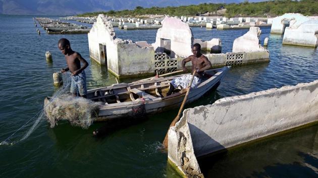 Fisherman Miguel Louis checks on his nets with his 12-year-old son Dabens Louis, working near the ghostly ruins of flooded homes sitting in the lake. "Even small fish are hard to find" said Louis. (Dieu Nalio Chery / AP) Fisherman Miguel Louis checks on his nets with his 12-year-old son Dabens Louis, working near the ghostly ruins of flooded homes sitting in the lake. "Even small fish are hard to find" said Louis. (Dieu Nalio Chery / AP)