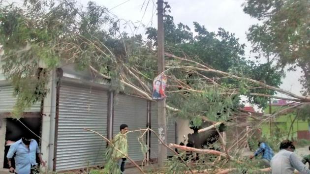 A view of uprooted trees after rain and thunderstorm in Vikas Nagar, Dehradun on May 3. (HT Photo)