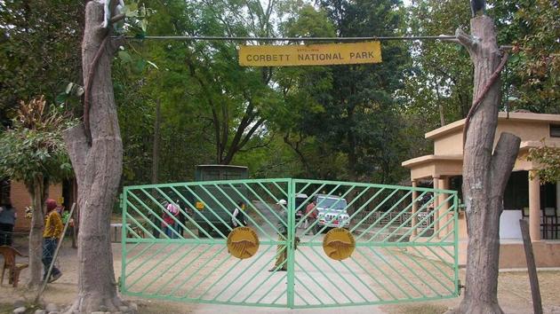 Corbett Tiger Reserve is home to 240 tigers, according to national estimation of 2015.(HT File Photo) Corbett Tiger Reserve is home to 240 tigers, according to national estimation of 2015.(HT File Photo)