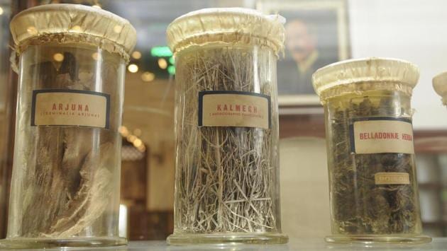 Besides, a new gallery has been set up on the fourth floor of the museum showcasing the different life forms of plants, heritage collections of textiles, natural dyes, and manuscripts of The Dictionary of Economic Products of India by George Watt. (Samir Jana / HT Photo)